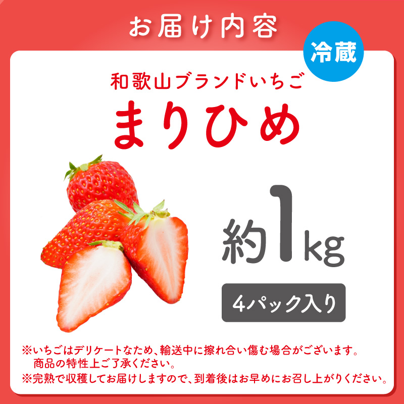 【0566-4】まりひめ4パック入り約1kg「和歌山ブランドいちご」農家直送《先行予約》【配送不可地域：北海道・青森・秋田・岩手・沖縄】