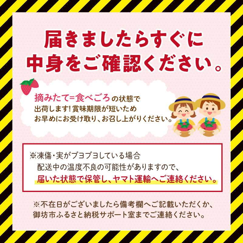 【1226_03】農家直送！大粒完熟まりひめ　いちご　2パック（3月発送）配送不可地域【北海道・沖縄・離島】