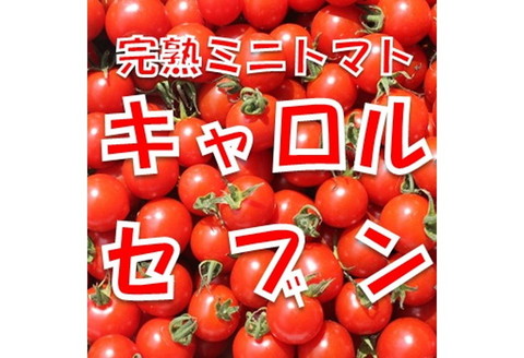 【0138-3】完熟ミニトマト「キャロルセブン」