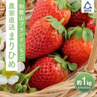 【0566-4】まりひめ4パック入り1kg「和歌山ブランドいちご」農家直送《先行予約》【配送不可地域：北海道・青森・秋田・岩手・沖縄】
