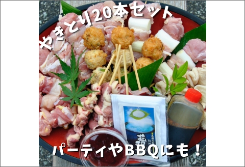 【0881-2】焼き鳥屋が作る【本格焼き鳥お任せセット２０本】