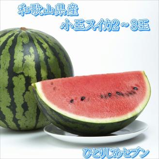 【0622-3】小玉スイカ（2玉～3玉）