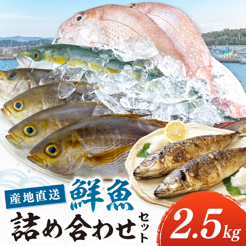 【0007-3】御坊産　鮮魚セット2.5kg【配送不可地域】沖縄・北海道・東北・九州