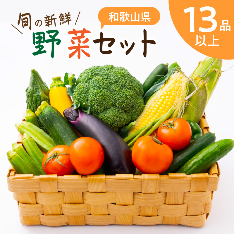 【0054-3】旬の新鮮野菜セットたっぷり13種以上