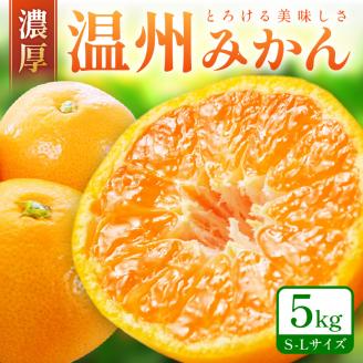 【0057-4】「濃厚な味のとろける美味しさ」温州みかん 5kg《先行予約》