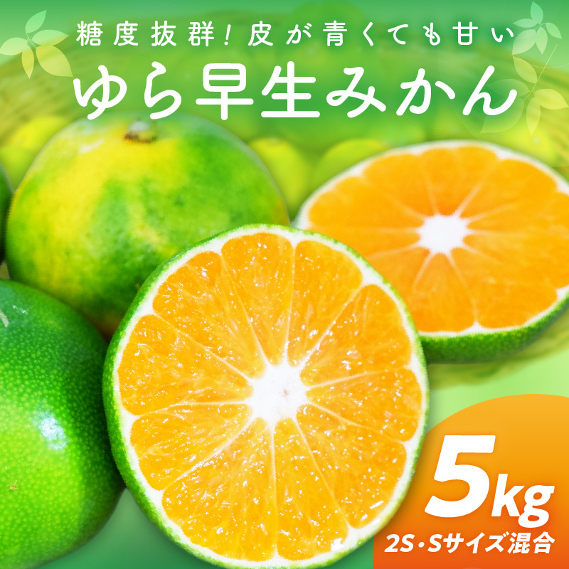 【0162-3】糖度抜群！ゆら早生（みかん）≪先行予約≫