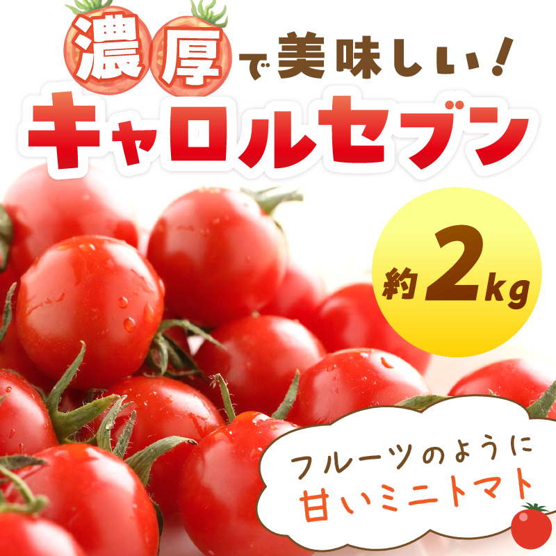 【0195-3】ミニトマト キャロルセブン 2kg【和歌山産】《先行予約》