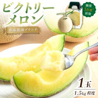 【0247-4】斎藤農園ブランド「ビクトリーメロン」アールスメロン（マスクメロン）1玉 1.5kg程度≪先行予約2026年6月下旬以降発送分≫