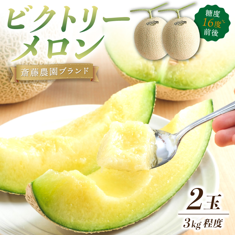 【0248-2】斎藤農園ブランド「ビクトリーメロン」アールスメロン（マスクメロン）2玉3kg程度≪先行予約2026年6月下旬以降発送分≫