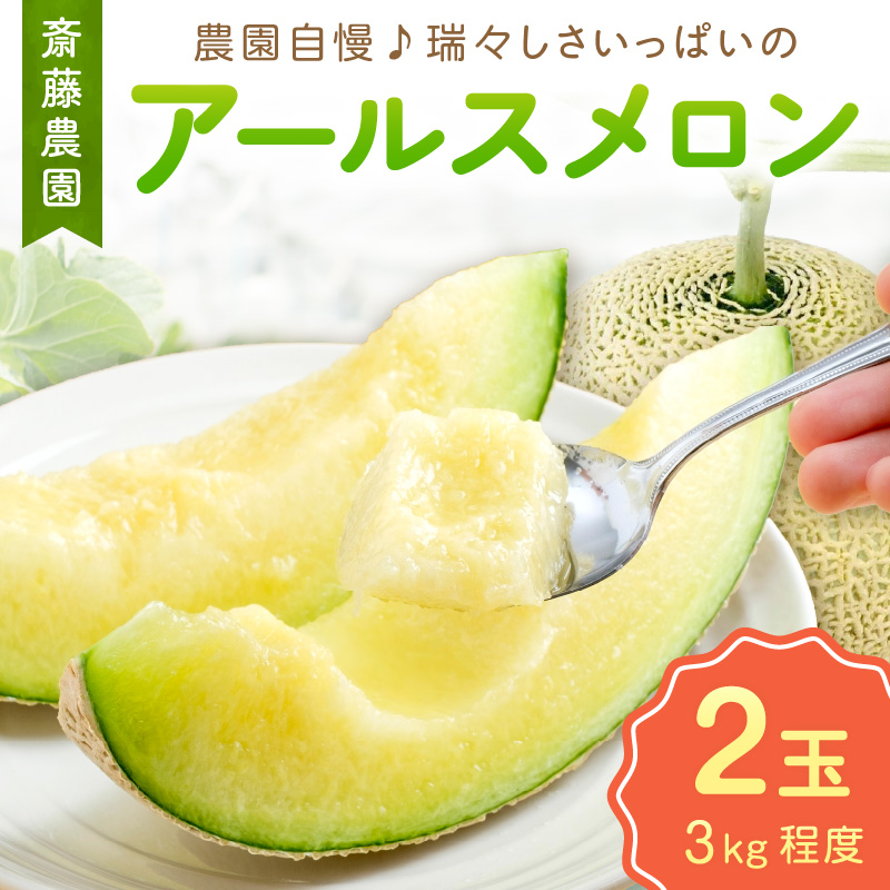 【0249-4】斎藤農園のアールスメロン（マスクメロン）2玉3kg程度≪先行予約2026年6月下旬以降発送分≫