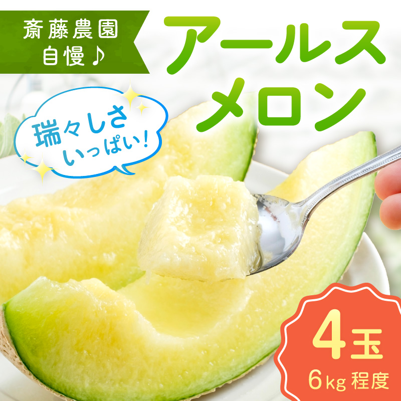【0250-2】斎藤農園のアールスメロン（マスクメロン）4玉 6kg程度≪先行予約2026年6月下旬以降発送分≫