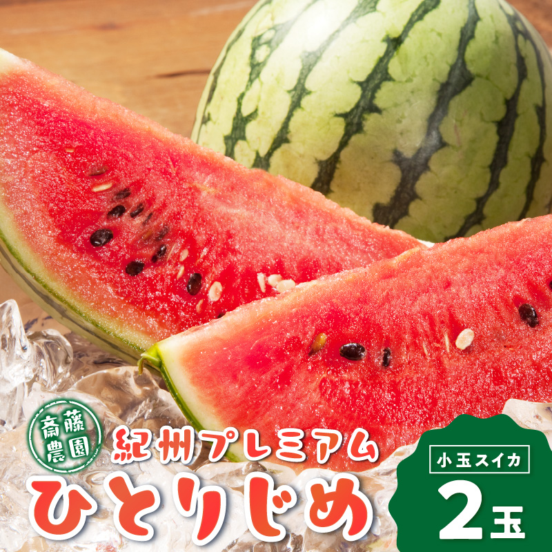 【0251-4】紀州プレミアムひとりじめ（小玉スイカ） 2玉3.5kg程度≪先行予約2026年6月初旬以降発送分≫