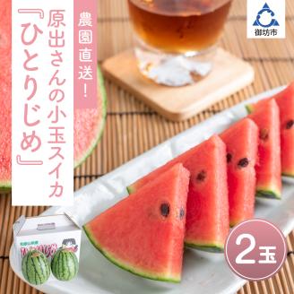 【0269-2】農園直送！原出さんの小玉スイカ（ひとりじめ）《先行予約》【2026年6月下旬頃から順次発送予定】【配送不可地域：北海道、沖縄、離島等】
