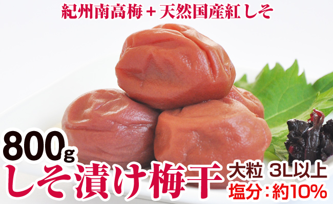 【0281-4】しそ漬け梅干（紀州南高梅）800g 大粒 3L以上 和歌山県産