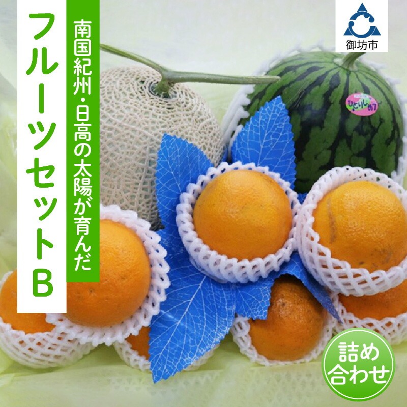 【0374-3】南国紀州・日高の太陽が育んだ季節のフルーツセットB《先行予約》【2026年1月下旬頃より順次発送予定】【配送不可地域:沖縄・離島】 