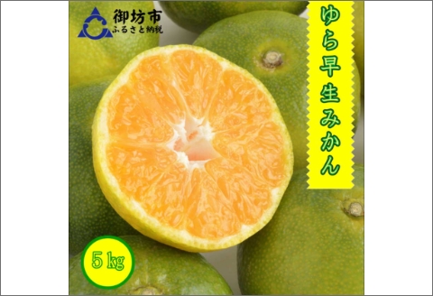 【0552-3】御坊市・日高川町・由良町産 ゆら早生みかん（ゆらっ子）5kg