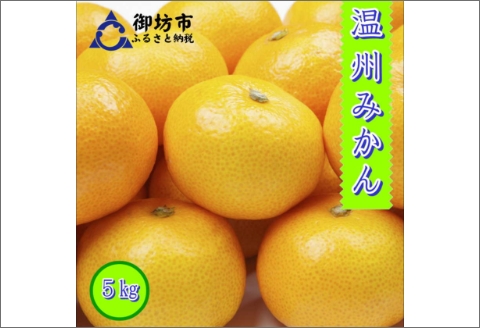 【0553-3】御坊市・日高川町・由良町産 温州みかん（ゆらっ子）5kg