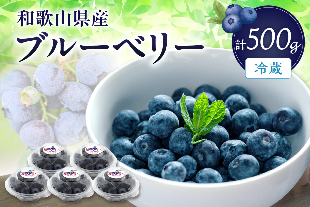 【0704-4】冷蔵ブルーベリー　500ｇ