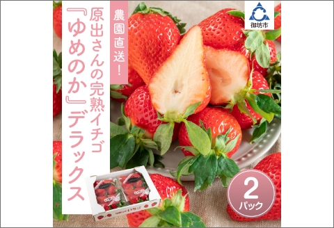 【0707-2】農園直送！原出さんの完熟イチゴ「ゆめのか」デラックス