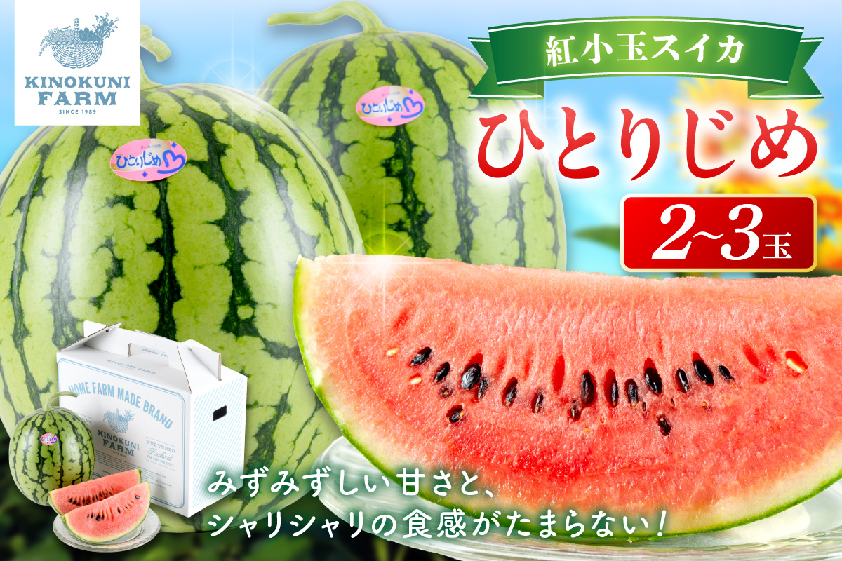 【0750-4】自農園産　紅小玉スイカ「ひとりじめ」2～3玉≪先行予約≫2026年6月中旬から順次発送【 配送不可地域：北海道・青森・秋田・岩手・沖縄・離島】