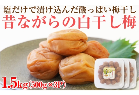 【0752-4】【和歌山県/紀州南高梅】紀州南高梅 昔ながらの白干し梅 1.5kg（500g×3パック） 塩分約20%
