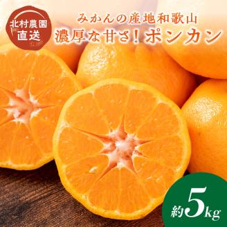 【0770-3】濃厚な甘さ！ポンカン5kg みかんの産地和歌山の農園直送《先行予約》