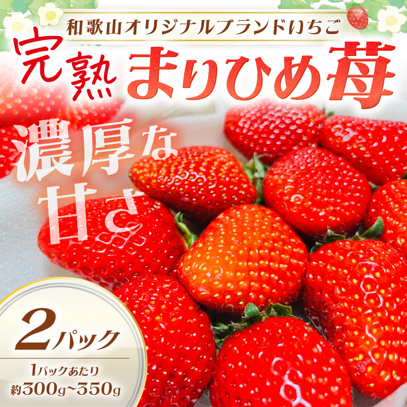 【0817-5】【和歌山オリジナルブランドいちご】完熟まりひめ苺　２パック《先行予約》
