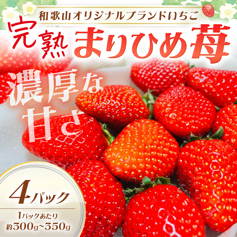 【0818-6】【和歌山オリジナルブランドいちご】完熟まりひめ苺　４パック《先行予約》