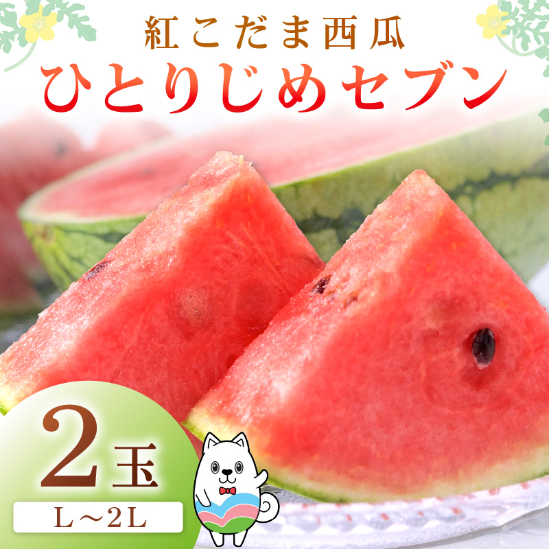 【0896-3】紅こだま西瓜（ひとりじめセブン）２玉入り〈先行予約〉2026年5月中旬から順次発送