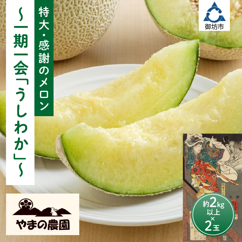 【0925-3】やまの農園　感謝のメロン～一期一会「うしわか」～≪先行予約≫【2026年7月中旬より順次発送予定】
