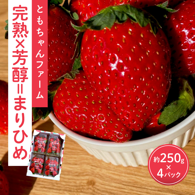 【1009-4】「完熟×芳醇=まりひめ」4パック（約250g×4）≪先行予約≫2026年1月上旬より順次発送予定【配送不可地域：北海道・沖縄・離島】