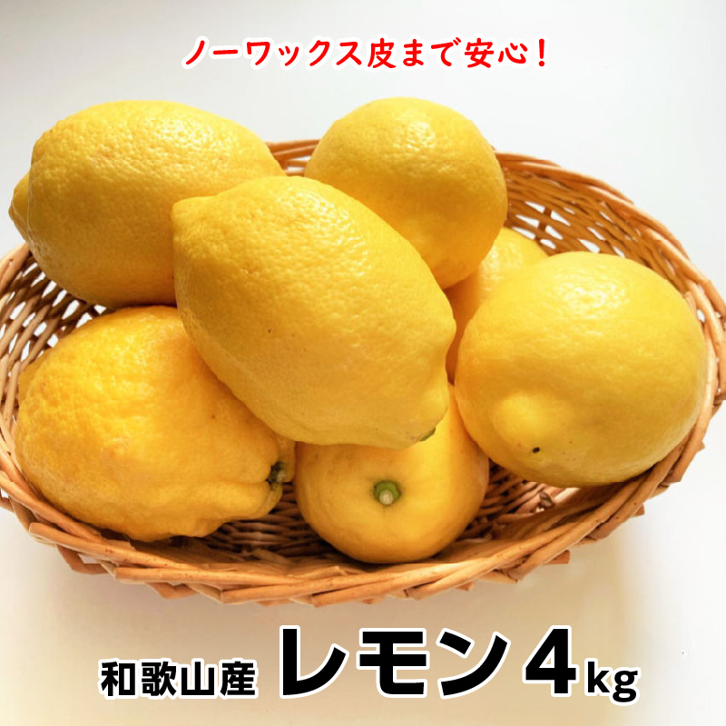 【1012-3】和歌山産レモン/グリーンレモン ４kg【国産レモン】《先行予約》