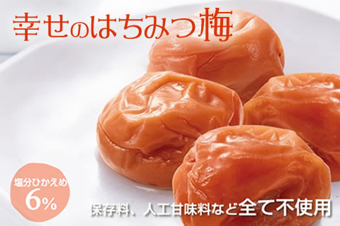 【1079-5】幸せのはちみつ梅干(紀州南高梅)700g A級 大粒 3L以上 和歌山県産 うめぼし 梅干し 梅  送料無料 ふるさと納税 梅干し はちみつ