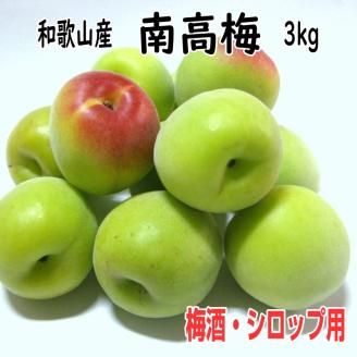 【1088-4】青梅（生梅）紀州南高梅 3kg 梅酒用・梅シロップ用《先行予約》