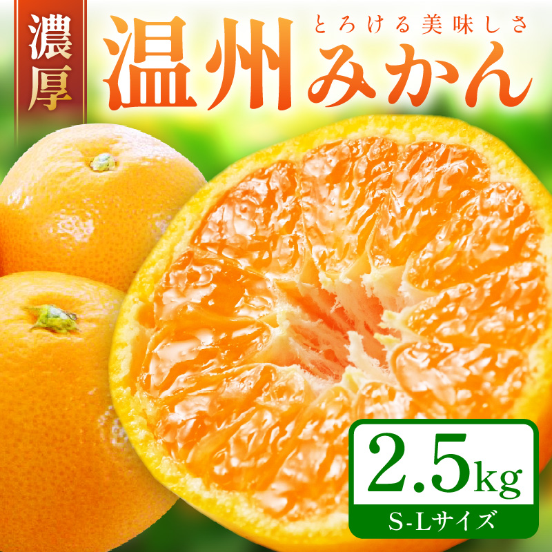 【1171-2】「濃厚な味のとろける美味しさ」温州みかん 2.5kg《先行予約》
