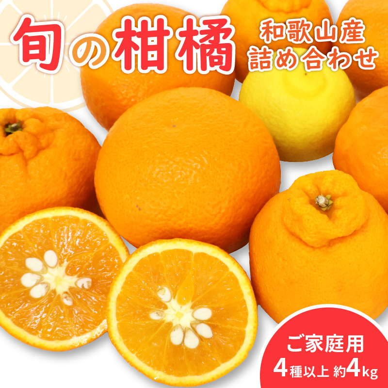 【1199】柑橘詰め合わせセット 家庭用４種以上 約4kg 和歌山産≪先行予約2026年1月下旬頃より順次発送分≫