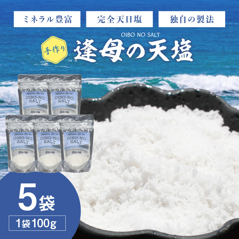 【1258-1】手作り天然塩　【逢母の天塩】100ｇ×5パック