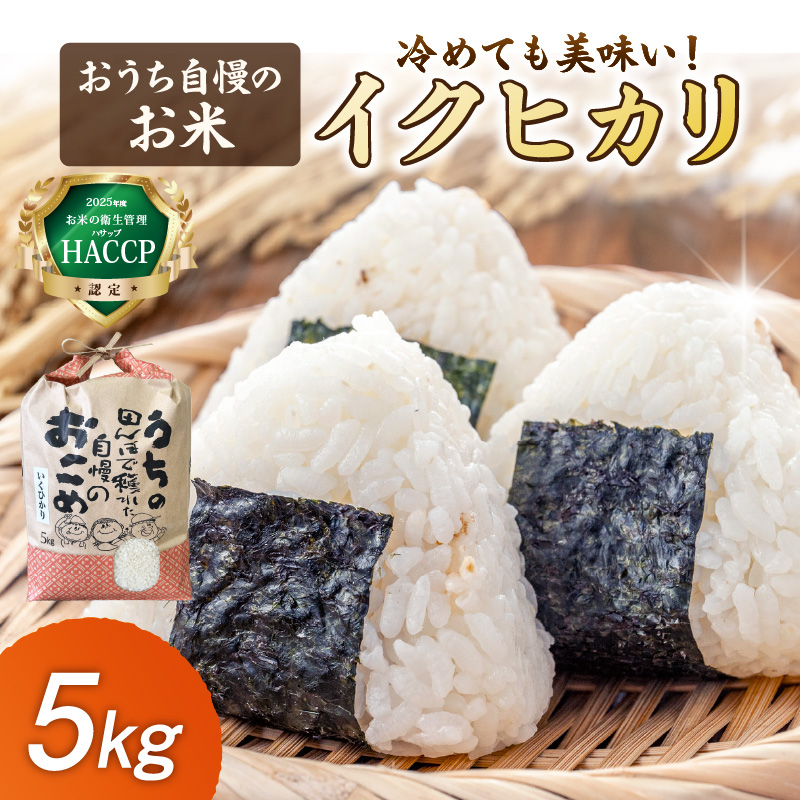 【1296】おうち自慢のお米　イクヒカリ 5kg