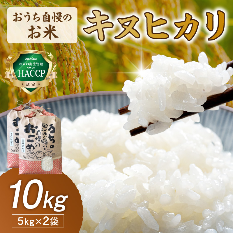 【1299】おうち自慢のお米　キヌヒカリ10kg