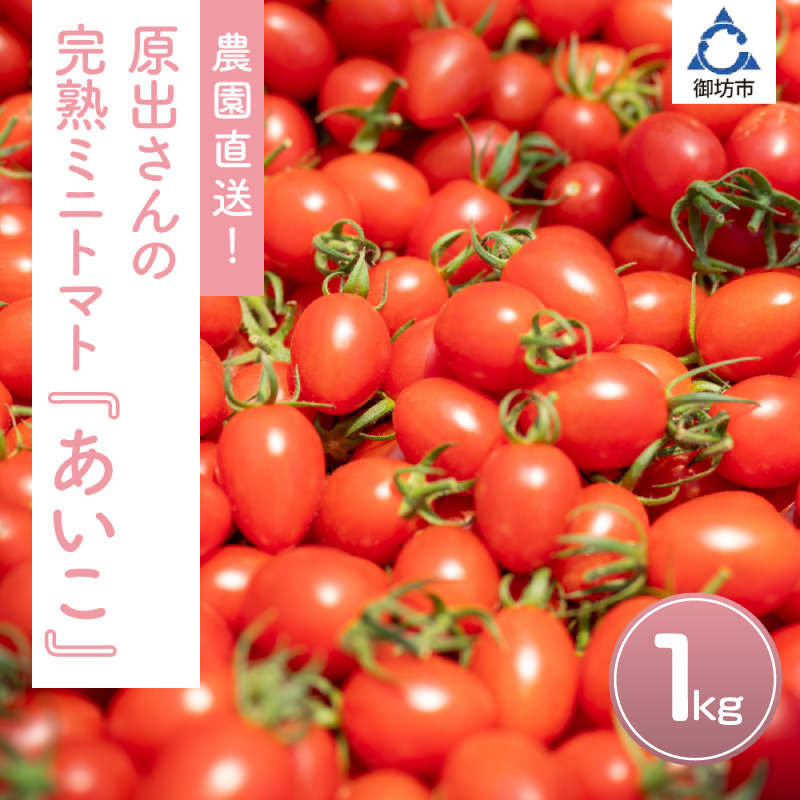 【1313】農園直送！原出さんの完熟ミニトマト（あいこ）1kg