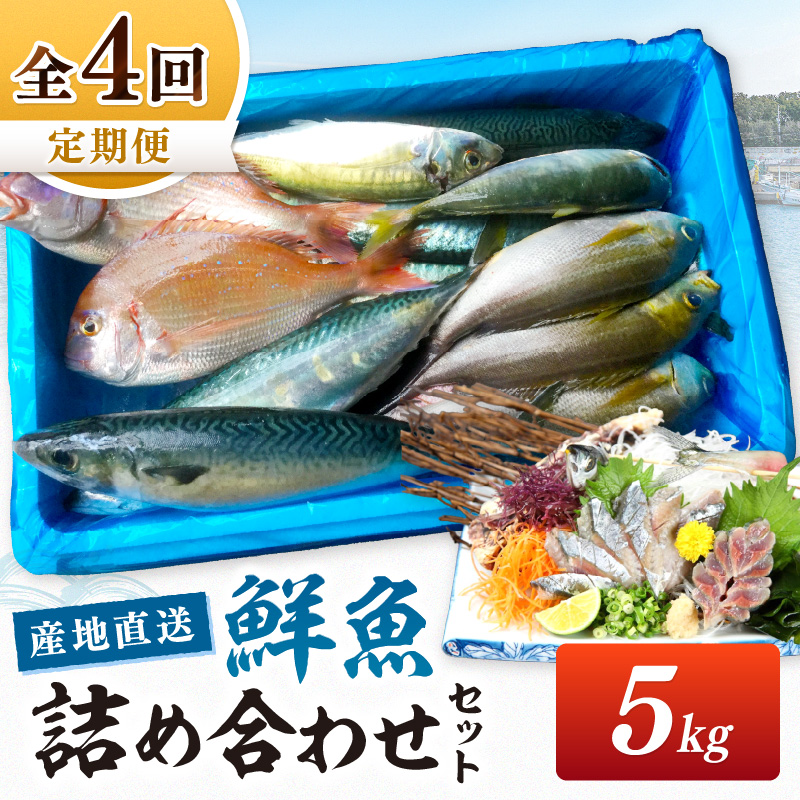【8002-2】御坊産鮮魚セット 5kg 【定期便】(年4回お届け)【配送不可地域】沖縄・北海道・東北・九州