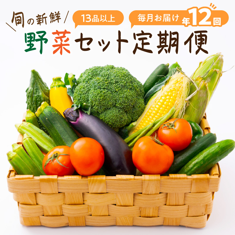 【8004-2】定期便　旬の新鮮野菜セットＡ【毎月お届け12回】たっぷり13品以上