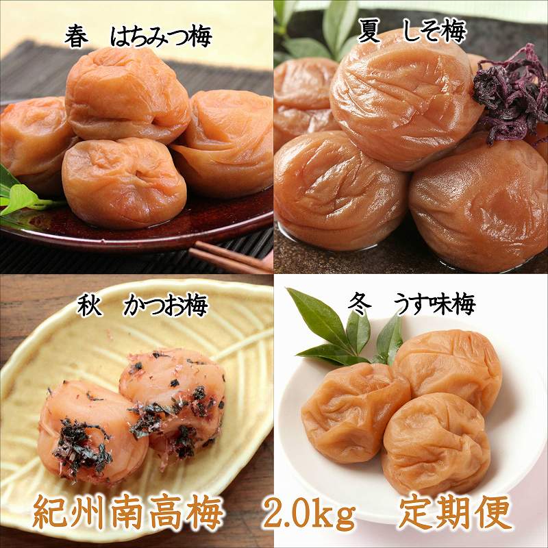 【8020-3】御坊市　紀州南高梅2.0㎏の定期便（春・夏・秋・冬）4回