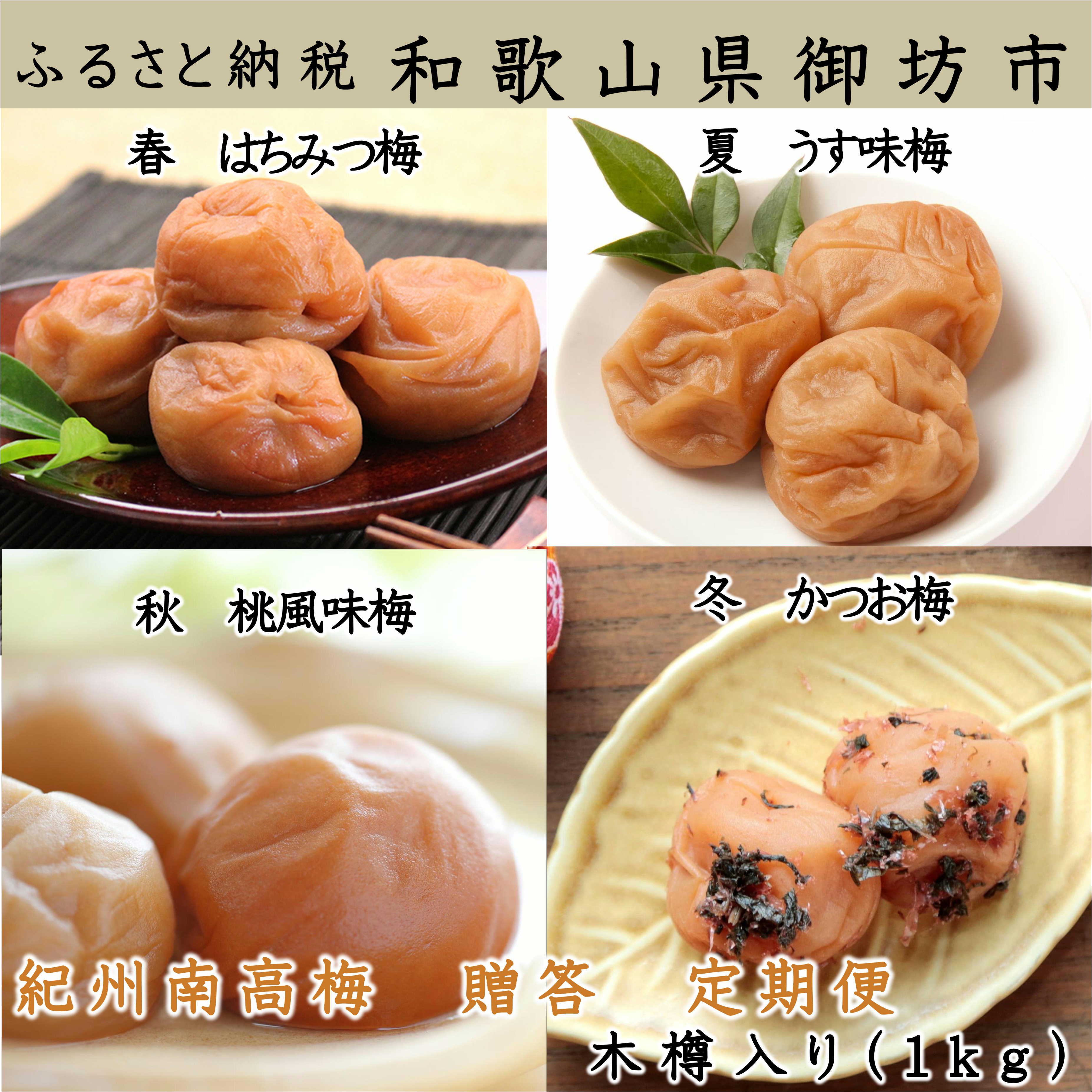 【8022-3】御坊市　紀州南高梅の贈答定期便（春・夏・秋・冬）4回　A