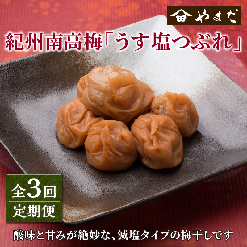 【8030-2】【定期便3回】紀州南高梅うす塩つぶれ（塩分約6％）