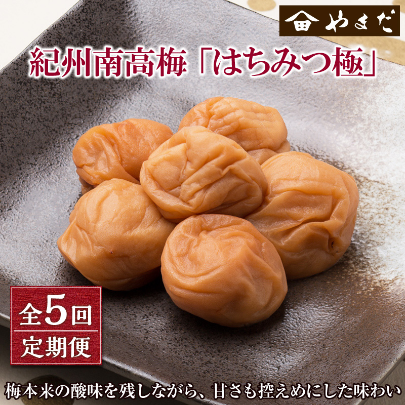 【8047-2】【定期便5回】紀州南高梅はちみつ極塩分約６％