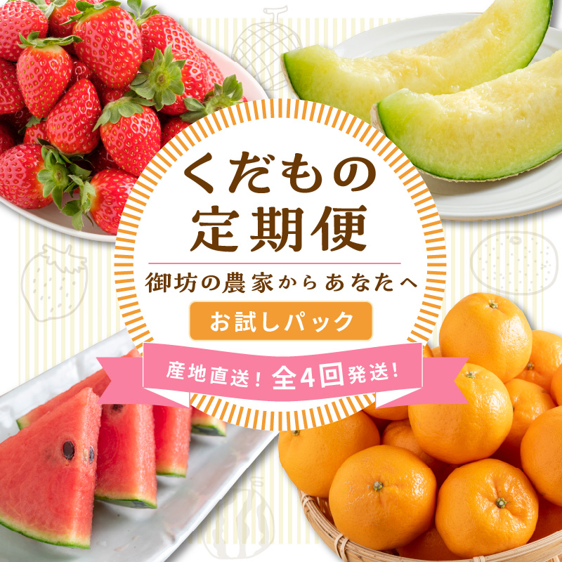 【8068】≪2026年発送分≫産地直送！くだもの 定期便「お試しパック」御坊の農家からあなたへ。Ⅱ【配送不可地域：北海道・青森・秋田・岩手・沖縄・離島】