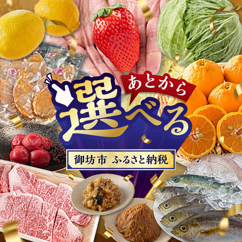 【9998-18】あとからセレクト【ふるさとギフト】寄附90万円相当