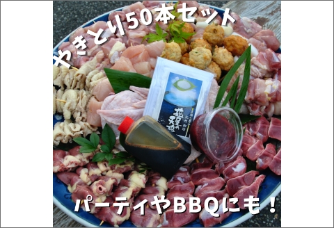 【0880-1】焼き鳥屋が作る【本格焼き鳥お任せセット５０本】