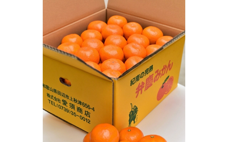 紀南の温州みかん10kg / 田辺市 温州みかん みかん フルーツ【ais002】